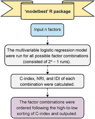 Factors affecting HPV infection in U.S. and Beijing females: A modeling study